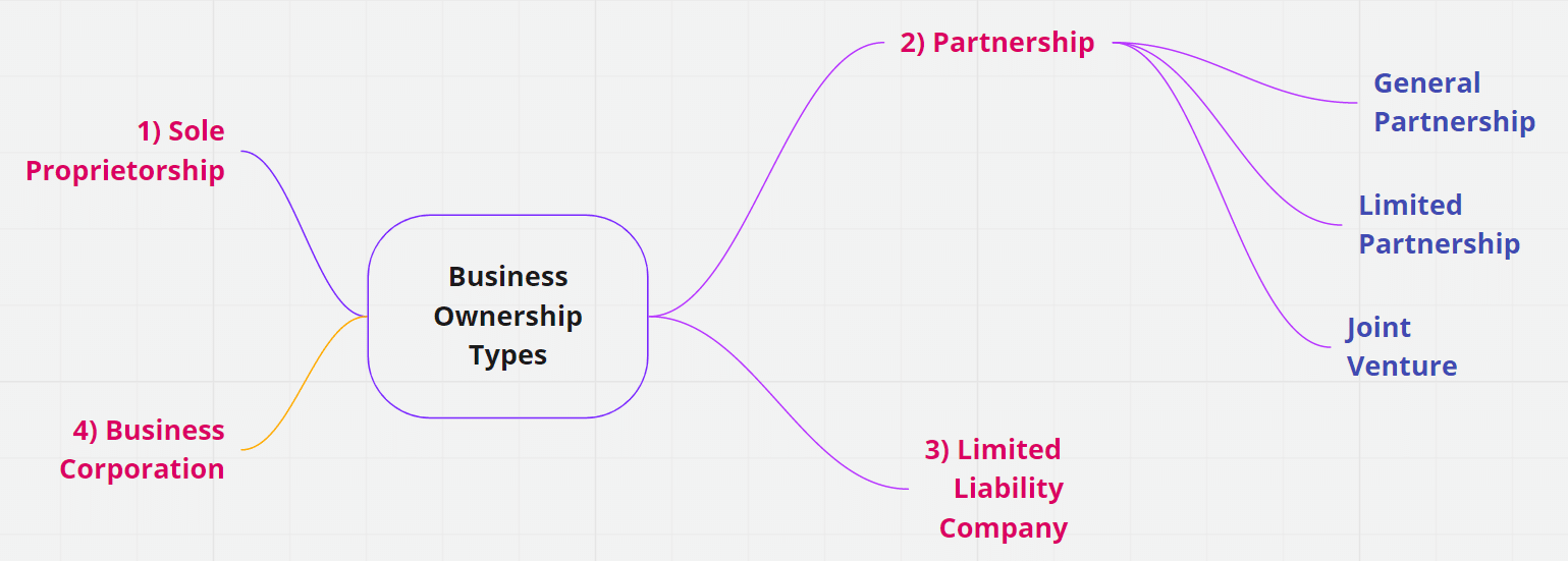 types of ownership in business plan