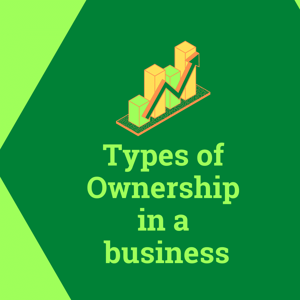 types of ownership in business plan